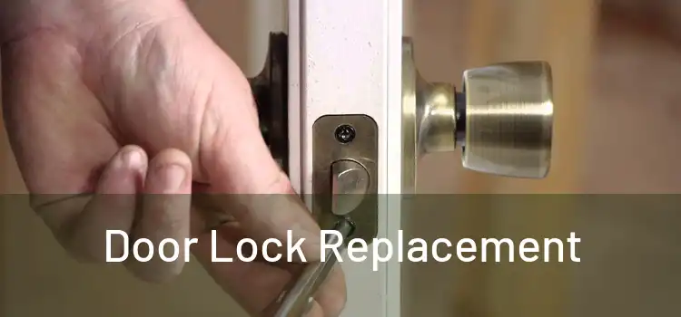  Door Lock Replacement 