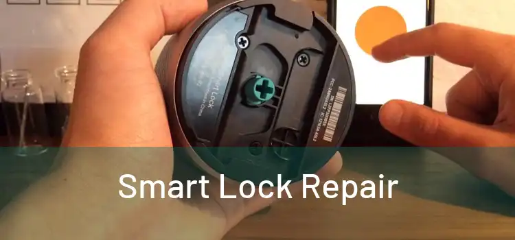  Smart Lock Repair 